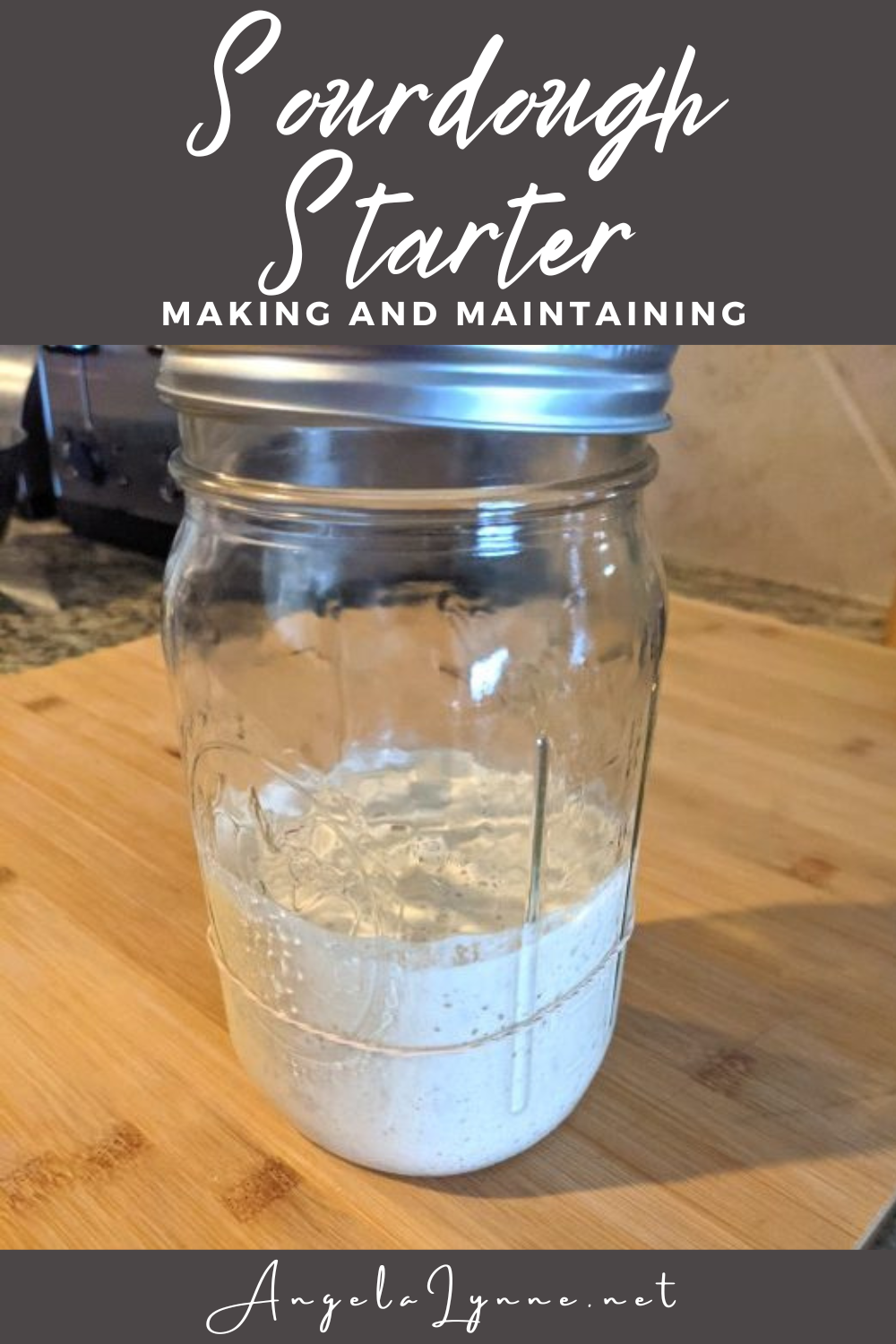 Maintaining a Sourdough Starter